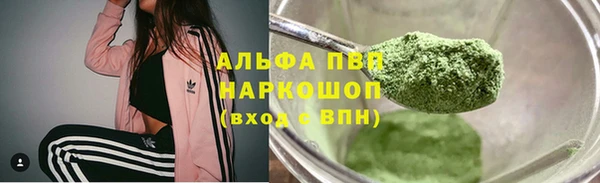PSILOCYBIN Лагань