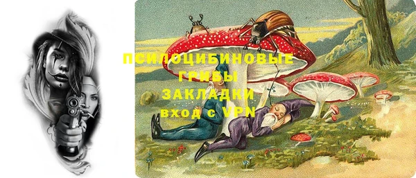 PSILOCYBIN Лагань